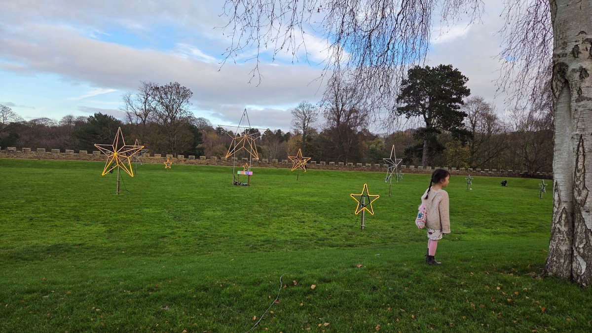 太多經歷，太少意義。